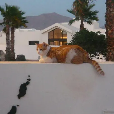 Las Buganvillas 65 Oda ve Kahvaltı
